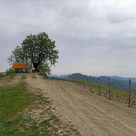 Monferrato Bed&Bike Hotel Murisengo Exterior photo